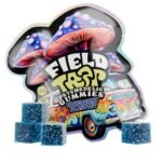 FIELD TRIP Psychedelic Mushrooms Gummies (10 Pack)