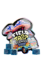 FIELD TRIP Psychedelic Mushrooms Gummies (10 Pack) - Image 2