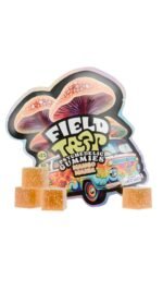 FIELD TRIP Psychedelic Mushrooms Gummies (10 Pack) - Image 6