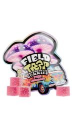 FIELD TRIP Psychedelic Mushrooms Gummies (10 Pack) - Image 8