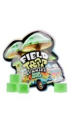FIELD TRIP Psychedelic Mushrooms Gummies (10 Pack) - Image 9