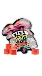 FIELD TRIP Psychedelic Mushrooms Gummies (10 Pack) - Image 10