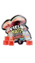 FIELD TRIP Psychedelic Mushrooms Gummies (10 Pack) - Image 12
