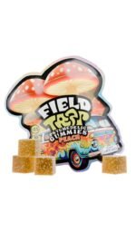 FIELD TRIP Psychedelic Mushrooms Gummies (10 Pack) - Image 7