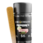 UNIVERSITY THCP Preroll "Freshmans's" (10 Pack)