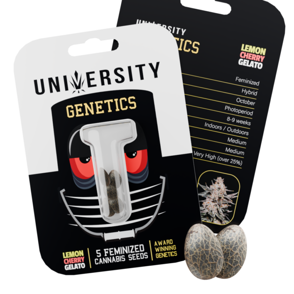 Seeds – Lemon Cherry – NO BG