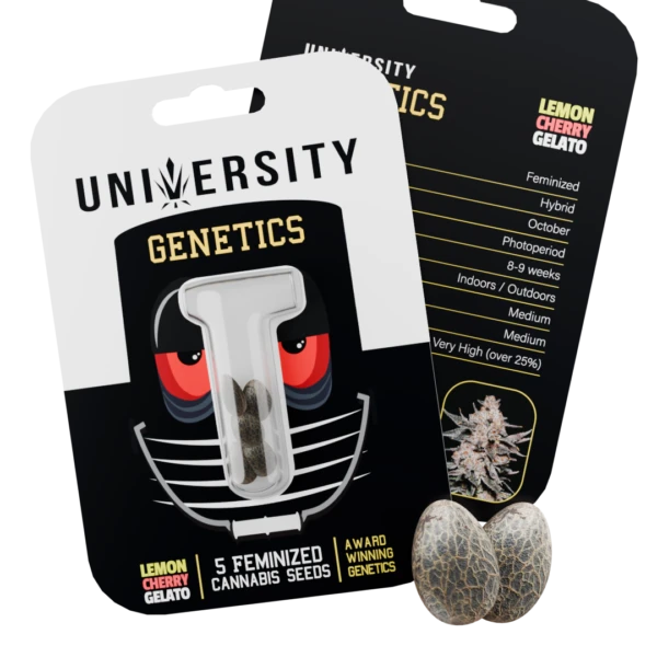 Seeds – Lemon Cherry – NO BG