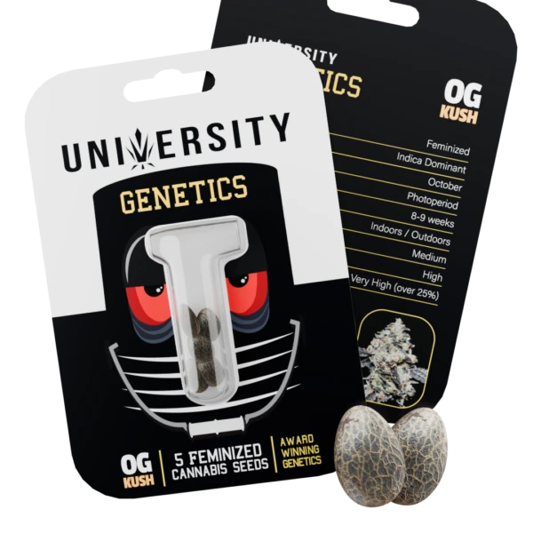 Seeds – OG – NO BG