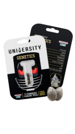 UNIVERSITY Feminized Seeds (10 Pack) - Image 4