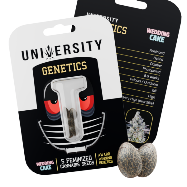 Seeds – Wedding Cake – NO BG